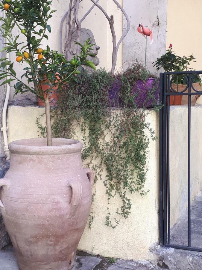 Mamarico' Appartamento