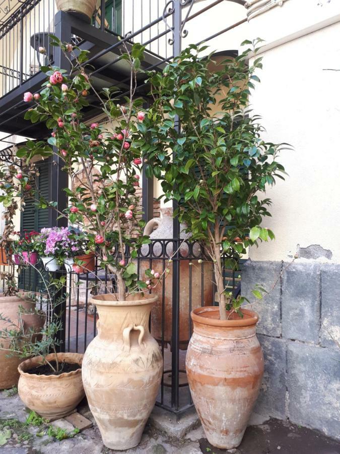 Mamarico' * Catania